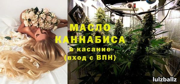 прущие грибы Новодвинск