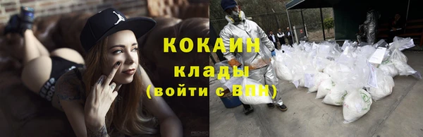 прущие грибы Новодвинск