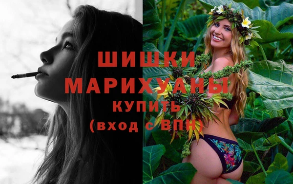 гидра Новокубанск