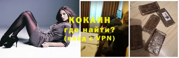 прущие грибы Новодвинск