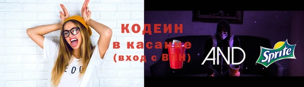 прущие грибы Новодвинск