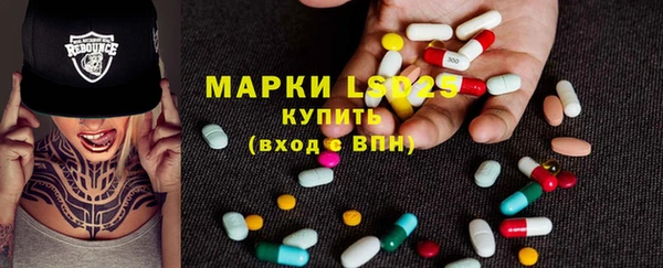 прущие грибы Новодвинск