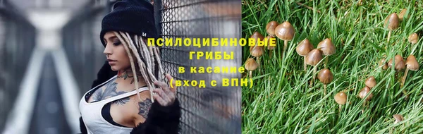 прущие крисы Нефтекумск
