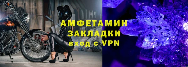 прущие грибы Новодвинск