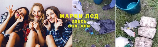 прущие грибы Новодвинск