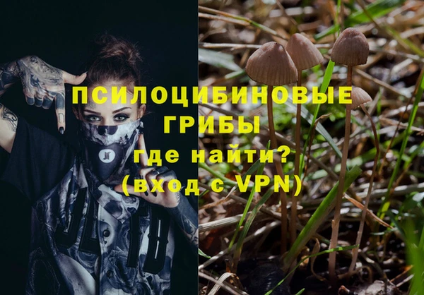 прущие крисы Нефтекумск