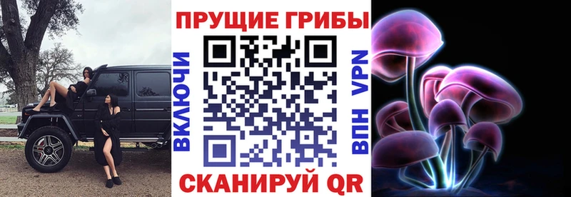 Псилоцибиновые грибы прущие грибы  где продают наркотики  Калтан 